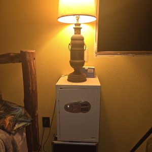 Tan Safe